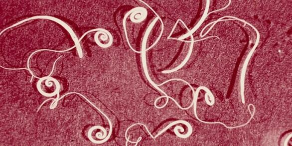 φωτογραφία ανθρώπινων παρασίτων